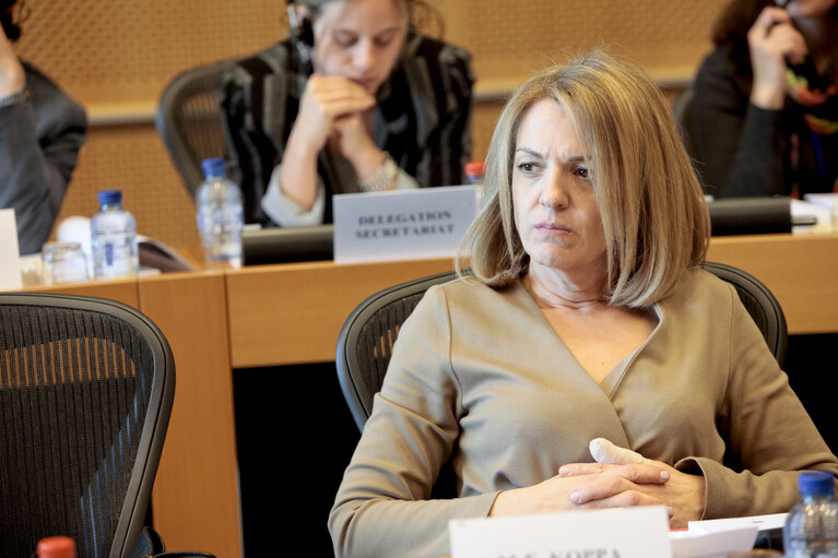 Foto 6: AFET Hearing on the future financing of enlargement