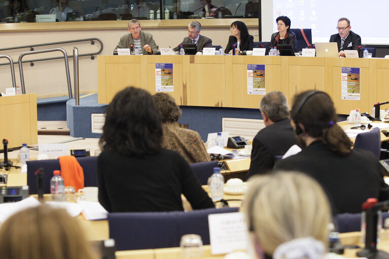 Public Hearing Secret Rendition and detention practicies - How to protect Human Rights while countering terrorism