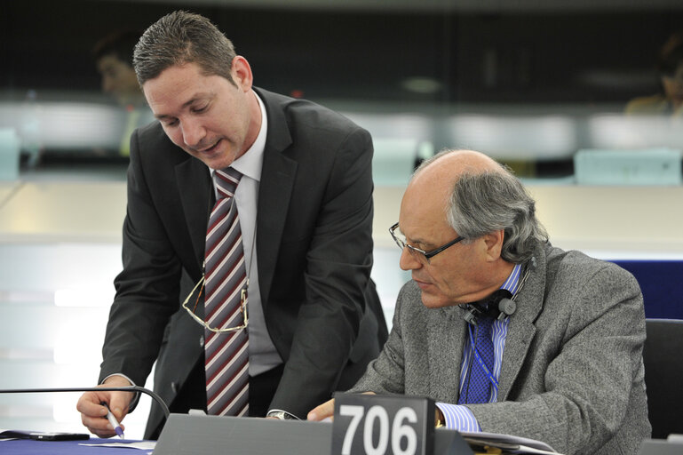 Photo 4: Plenary Session in Strasbourg - Week 16 - 2012