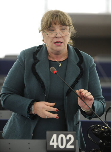 Fotografie 7: Plenary Session in Strasbourg - Week 16 - 2012