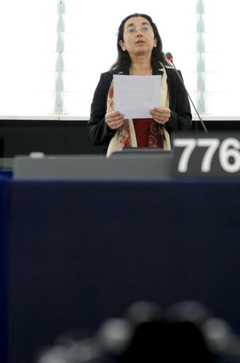 Fotografie 1: Plenary Session in Strasbourg - Week 16 - 2012