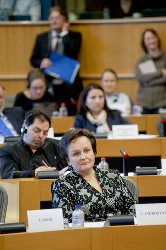 Foto 4: DROI committee Public Hearing on Justice in the Arab Spring.