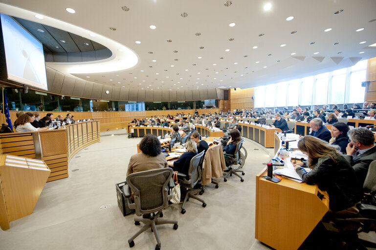 Foto 1: DROI committee Public Hearing on Justice in the Arab Spring.