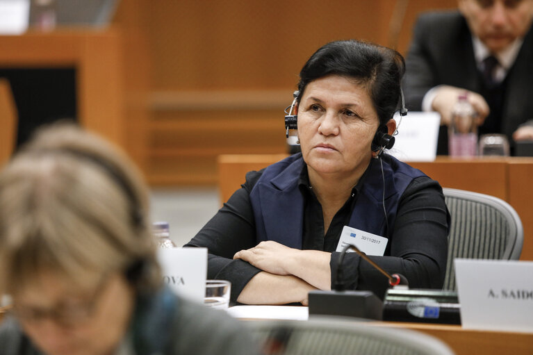 Fotografia 8: 13th EU-Uzbekistan Parliamentary Cooperation Committee