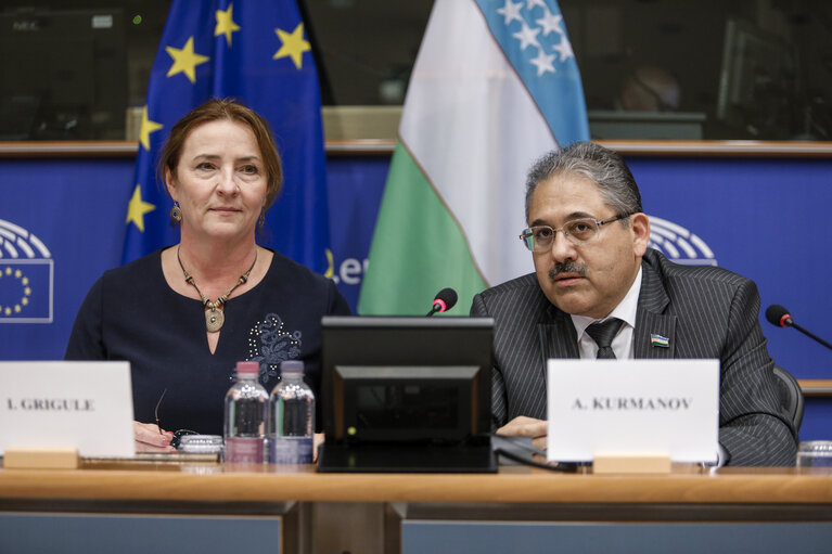 Fotografie 2: 13th EU-Uzbekistan Parliamentary Cooperation Committee