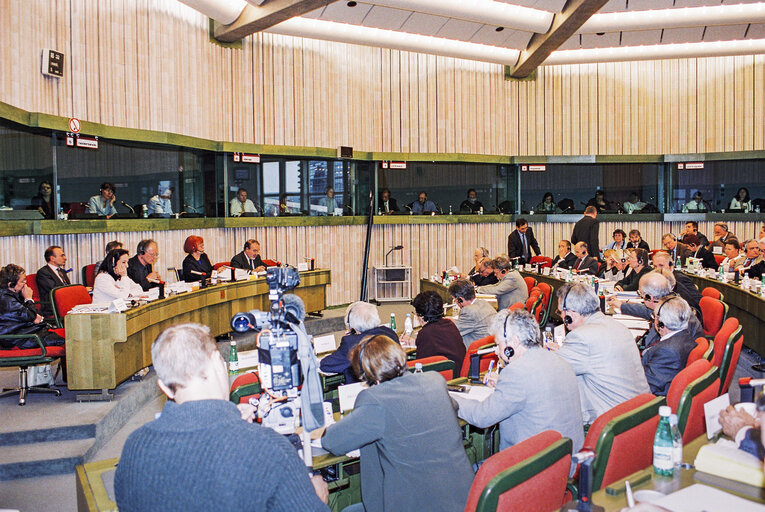 Photo 4 : Commission statement on spring economic forecasts and employment guidelines