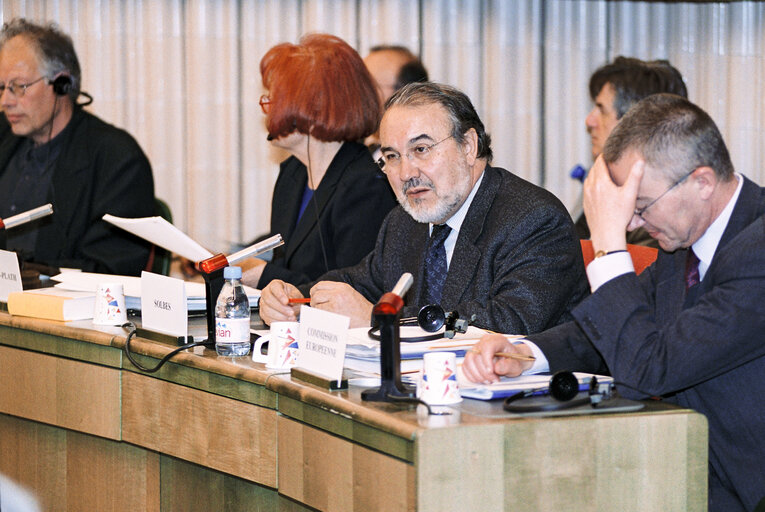 Foto 7: Commission statement on spring economic forecasts and employment guidelines