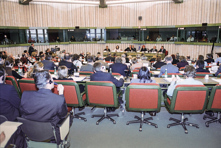 Foto 11: Commission statement on spring economic forecasts and employment guidelines