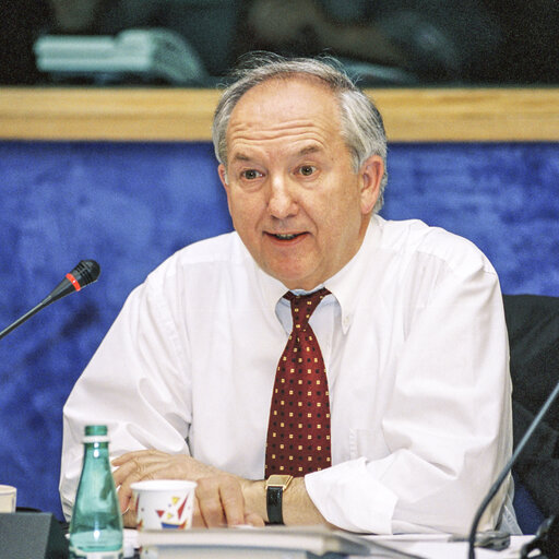 Foto 4: Meeting of the Paneuropean Parliamentary Intergroup on ''The European Defence policy''