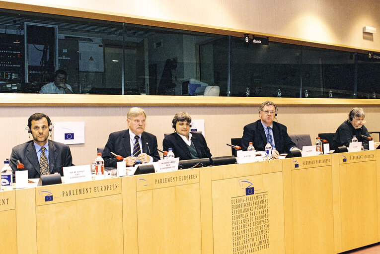 Fotografija 4: TRAN Committee meeting - Structurally disadvantaged in the context of cohesion policy