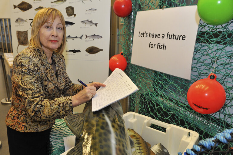 Foto 4: Fish for the Future Intergroup