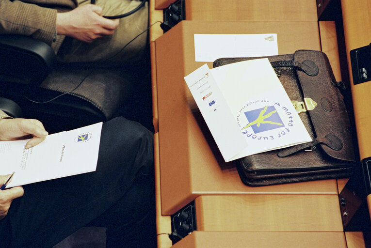 Photo 9: Proclamation of the slogan Unity diversity slogan in Brussels