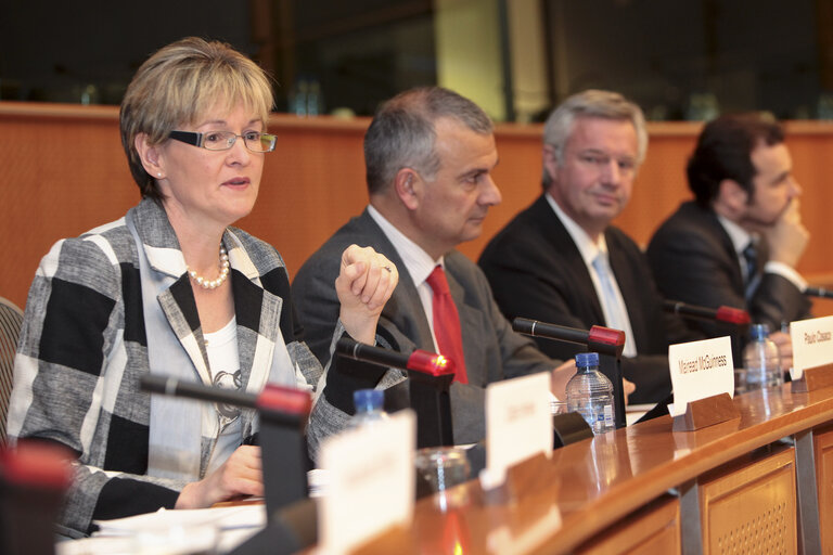 GMO's and the Precautionary Principle : Where are we now and where are we headed ?