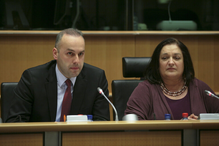 Fotogrāfija 5: EPP group hearing : ''New technologies available to the professional training: A hope'' Mme. Marietta GIANNAKOU Chef de la Délégation Grecque du PPE