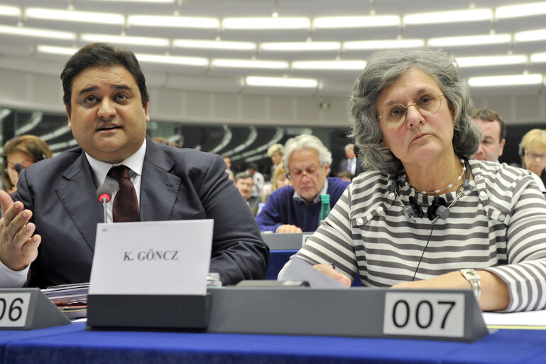 Foto 6: Brief Summary on the New Hungarian Media Act, Reunion in WIC 100 with Kinga Göncz MEP