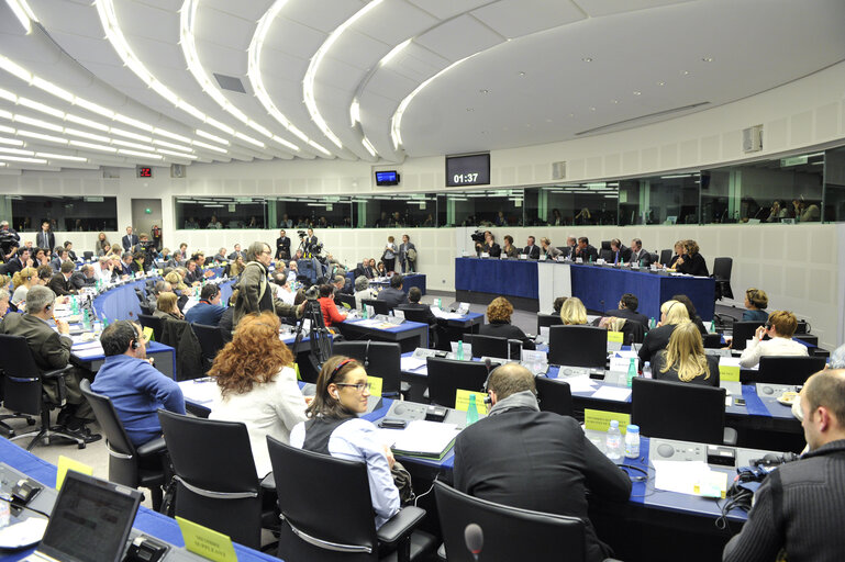 Foto 2: Brief Summary on the New Hungarian Media Act, Reunion in WIC 100 with Kinga Göncz MEP