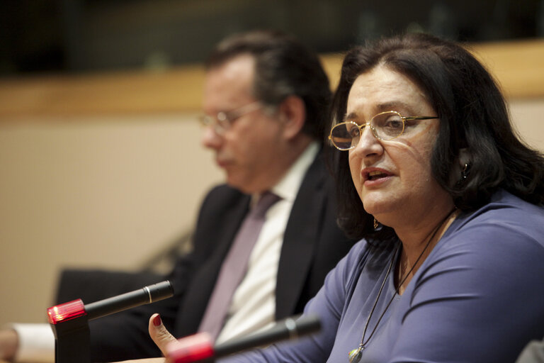 Fotografie 12: Foreign Policy during a Period of Crisis EPP Greek