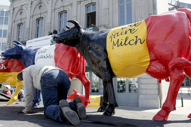 Fotografi 19: Milk producers of the European Milk Board protest in front of the European Parliament to draw attention to the pressing problems of the milk market.