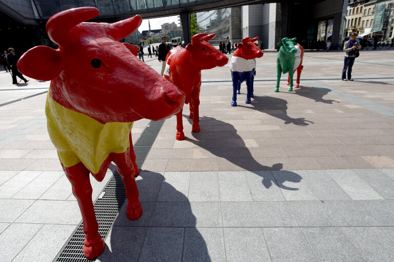 Fotografi 7: Milk producers of the European Milk Board protest in front of the European Parliament to draw attention to the pressing problems of the milk market.