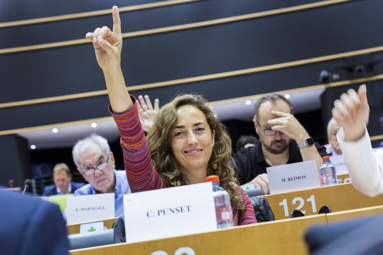 Снимка 4: MEP Carolina PUNSET voting during an ITRE committee meeting