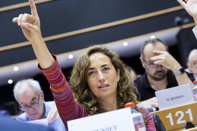 Снимка 3: MEP Carolina PUNSET voting during an ITRE committee meeting