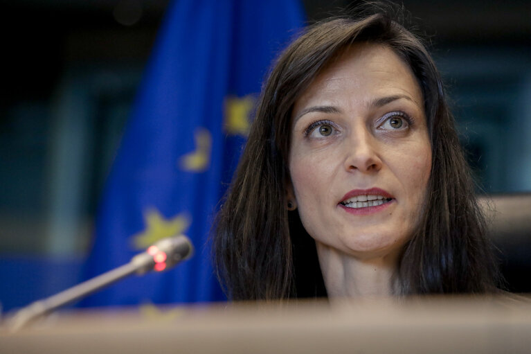 Foto 8: Debate on ' European Animation : Time for Action ' . How to help this dynamic sector fulfil its potential?