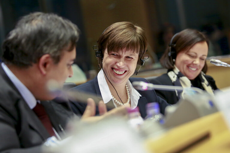 Zdjęcie 3: LIBE Committee meeting - Hearing of the candidate for the post of Europol Executive Director. Exchange of views with Catherine DE BOLLE