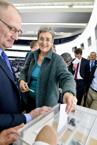 Photo 15: Plenary session Week 3 2017 in Strasbourg - Election of the Vice-Presidents of Parliament