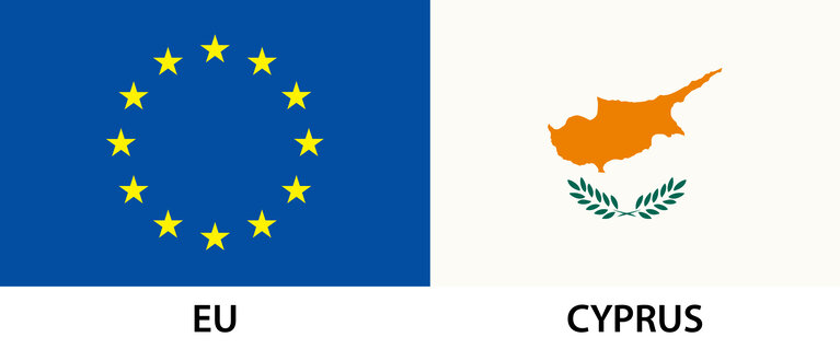 EU Member Flag