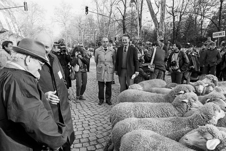 Fotografija 1: Shepherds and farmers protest outside the EP in Strasbourg in December 1985