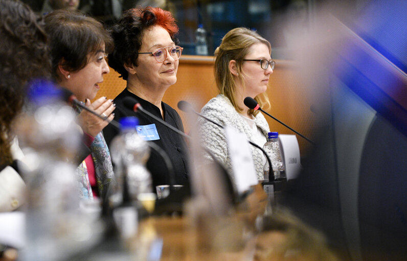 Fotografia 7: FEMM committee meeting. Hearing on Women as agents of change in the southern partnership states.