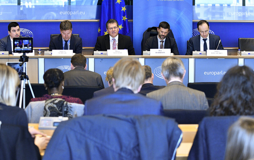 Foto 6: Energy security and the economic benefits of ZEVs in Europe