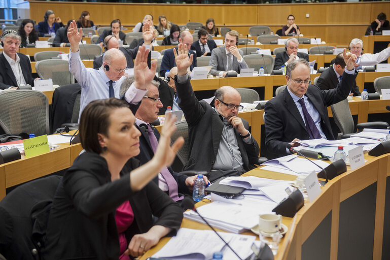 Valokuva 14: Members voting during the AFCO Committee meeting.