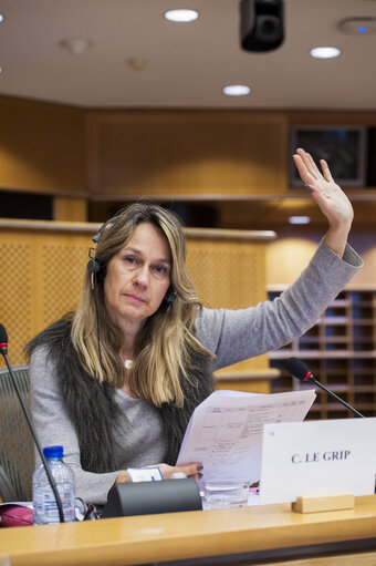 Valokuva 1: Members voting during the AFCO Committee meeting.