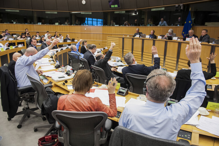 Valokuva 13: Members voting during the AFCO Committee meeting.