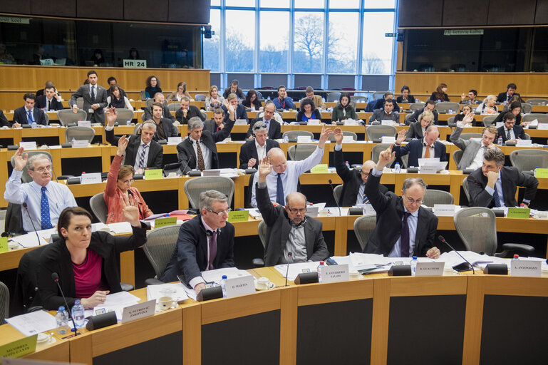 Fotografie 4: Members voting during the AFCO Committee meeting.