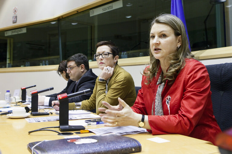 Photo 6 : MEP Danube Forum - Exchange of views on The Implementation and Future Developments of the EU Strategy for the Danube Region