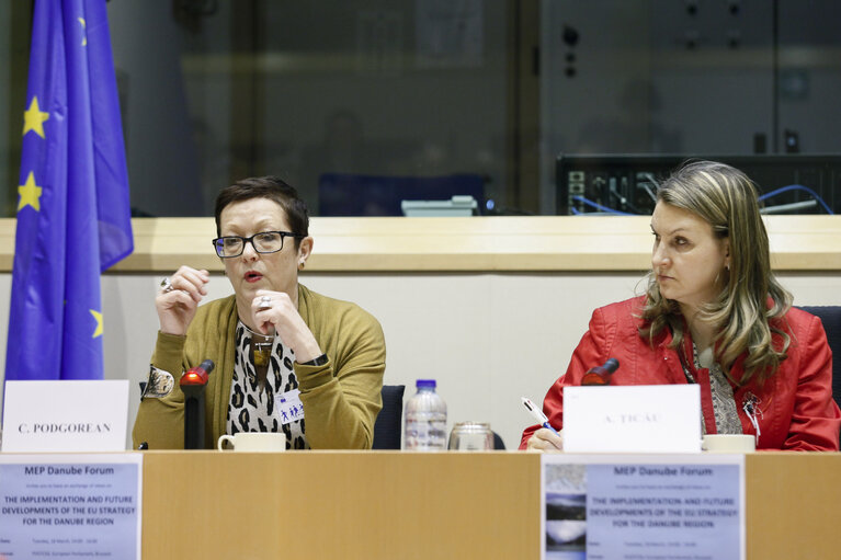 Photo 1 : MEP Danube Forum - Exchange of views on The Implementation and Future Developments of the EU Strategy for the Danube Region