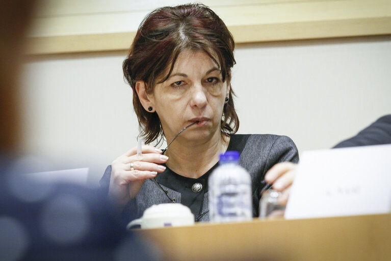 Photo 2 : MEP Danube Forum - Exchange of views on The Implementation and Future Developments of the EU Strategy for the Danube Region