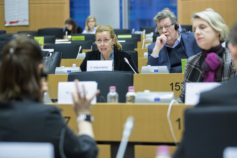 Zdjęcie 4: LIBE Committee meeting - Hearing of the candidate for the post of Europol Executive Director. Exchange of views with Catherine DE BOLLE