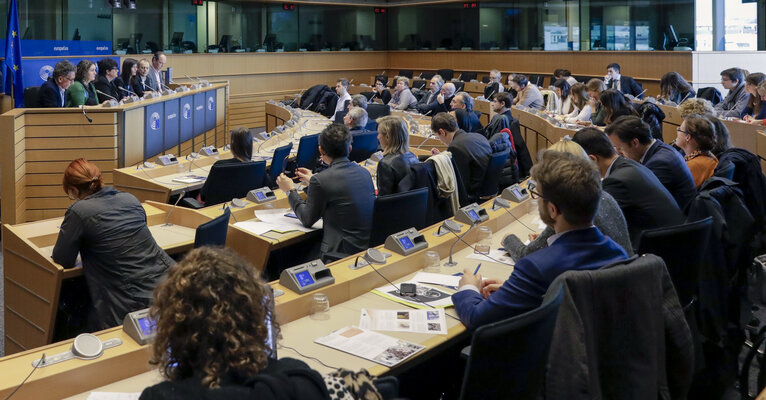 Foto 4: Debate on ' European Animation : Time for Action ' . How to help this dynamic sector fulfil its potential?