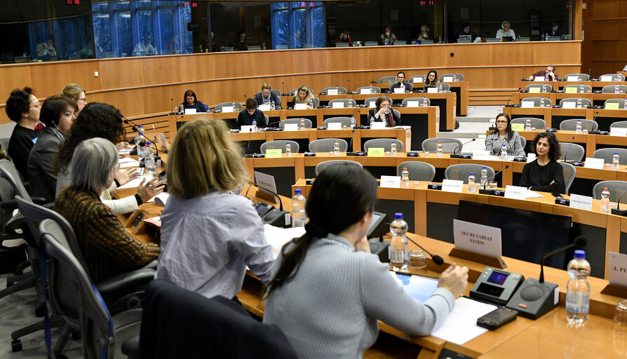 Fotografia 14: FEMM committee meeting. Hearing on Women as agents of change in the southern partnership states.