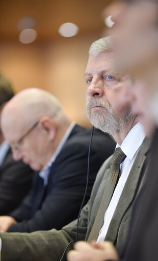 Photo 1: AFET : Public hearing on the political and economic situation in Belarus