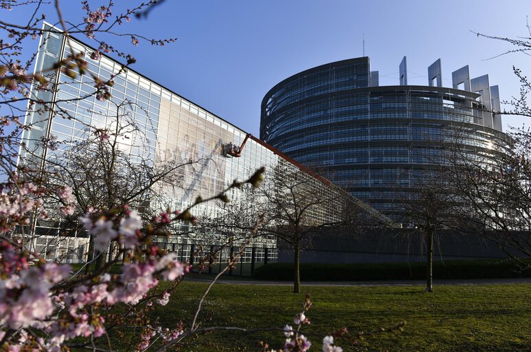 Nuotrauka 25: EE2014 - Set up of the Go to Vote campaign banners in Strasbourg