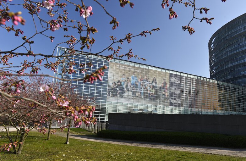 Fotó 2: EE2014 - Set up of the Go to Vote campaign banners in Strasbourg