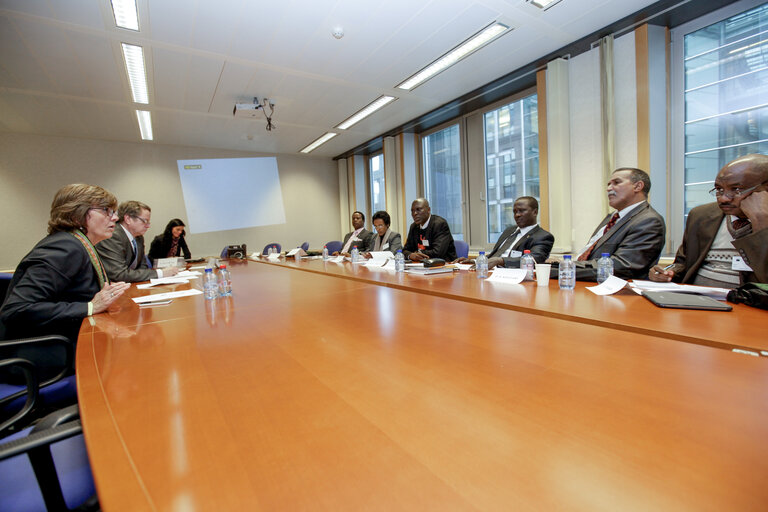 Fotogrāfija 1: Visite of the representatives of the PAN African Parliament finance committee