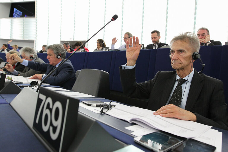 Tadeusz Edward ROSS during the plenary session