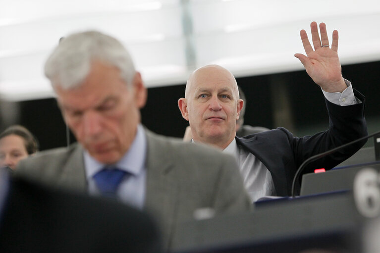 Fotografija 2: Peter SKINNER in plenary during the vote