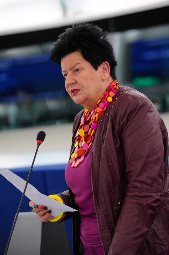 Plenary session week 16 2014 in Strasbourg