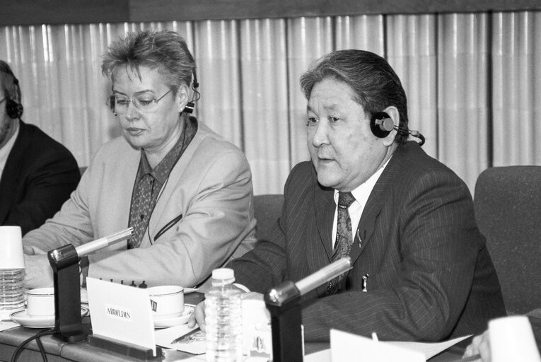 Fotografia 3: Meeting in the European Parliament